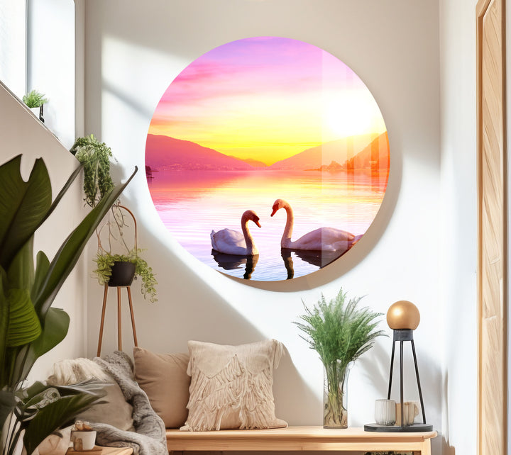 Swan Sunset Glass Wall Art print on glass, glass printed photos