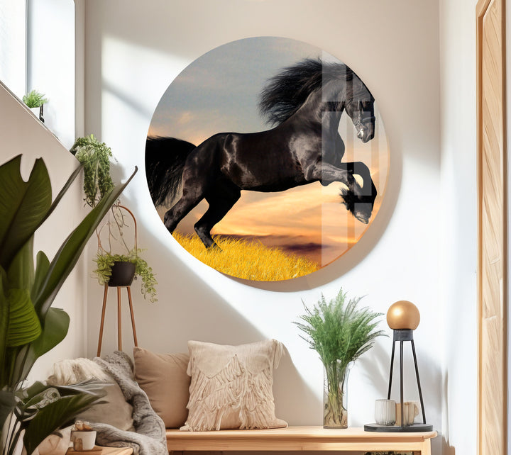 Big Black Horse Glass Wall Art photo print on glass, prints on glass wall art