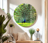 Peacock in Nature custom glass pictures, glass art prints