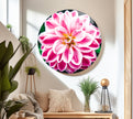 Vivid Pink Flower Tempered Glass Wall Art