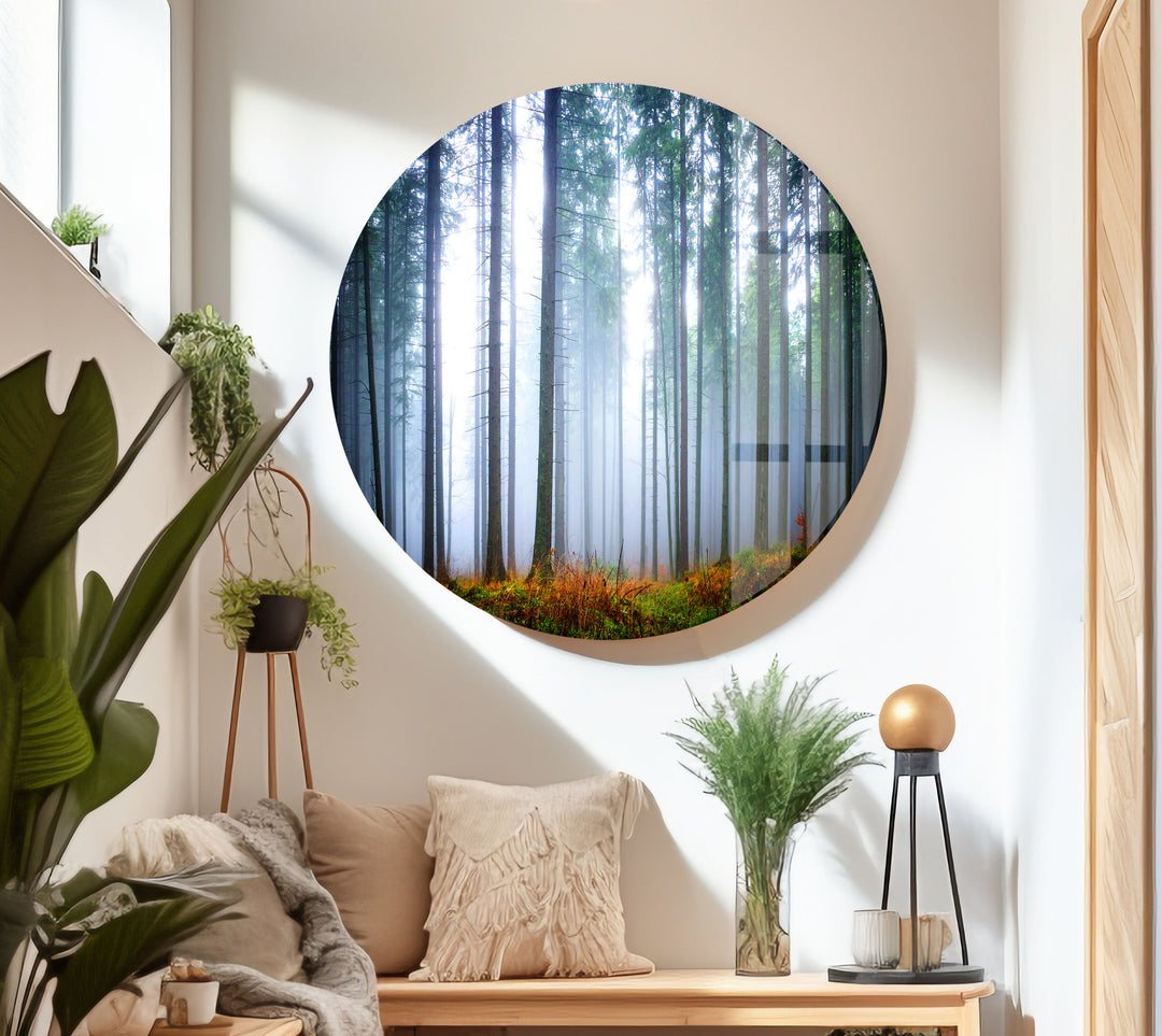 Foggy Forest Glass Wall Art