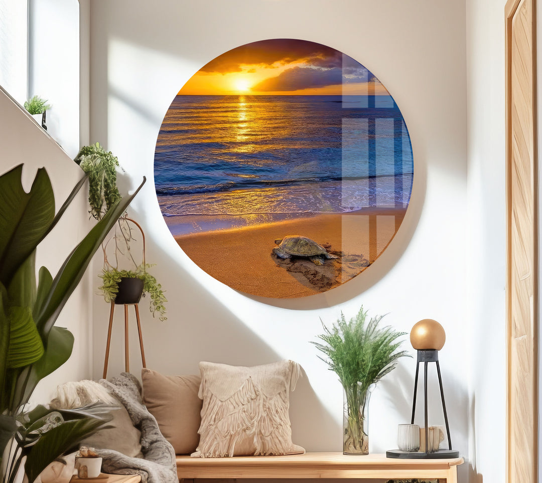 Sunset Sea Turtle Glass Wall Art glass image printing, glass prints from photos