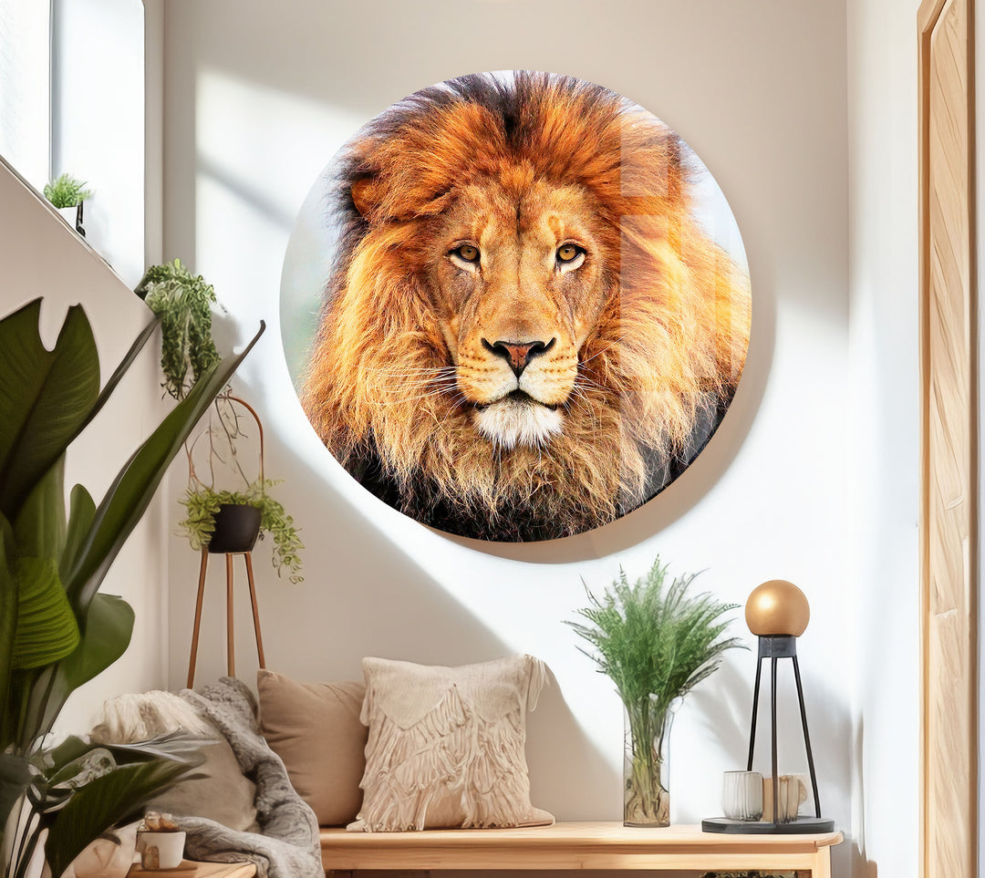 Wild Lion Portrait Glass Wall Art             glass wall decor, glass wall art decor