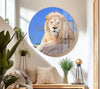 White Lion Sitting Glass Wall Art custom glass photo prints, large glass prints