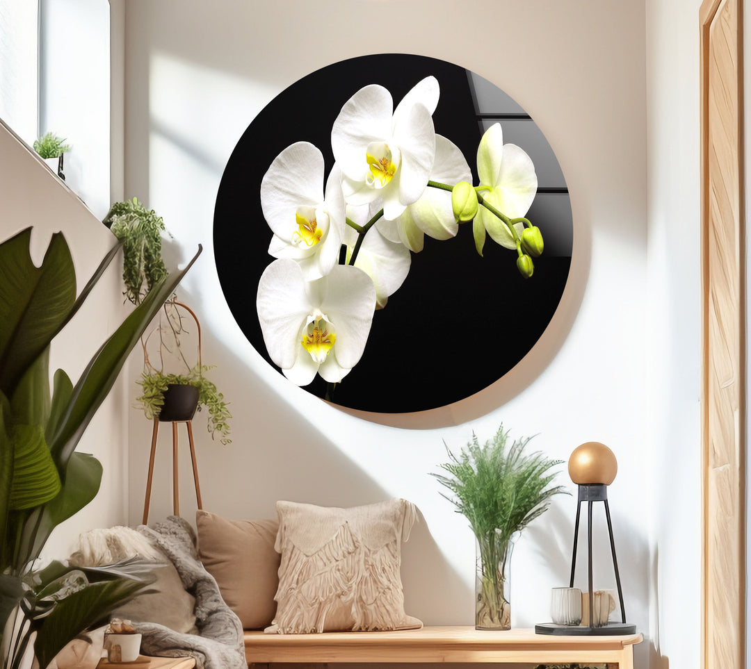 White Orchid Glass Wall Art, glass image printing, glass prints from photos