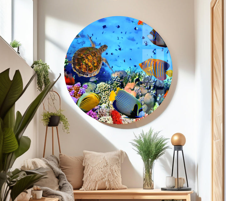 Underwater Animals Glass Wall Art Glass Printing Wall Art, Print photos on glass