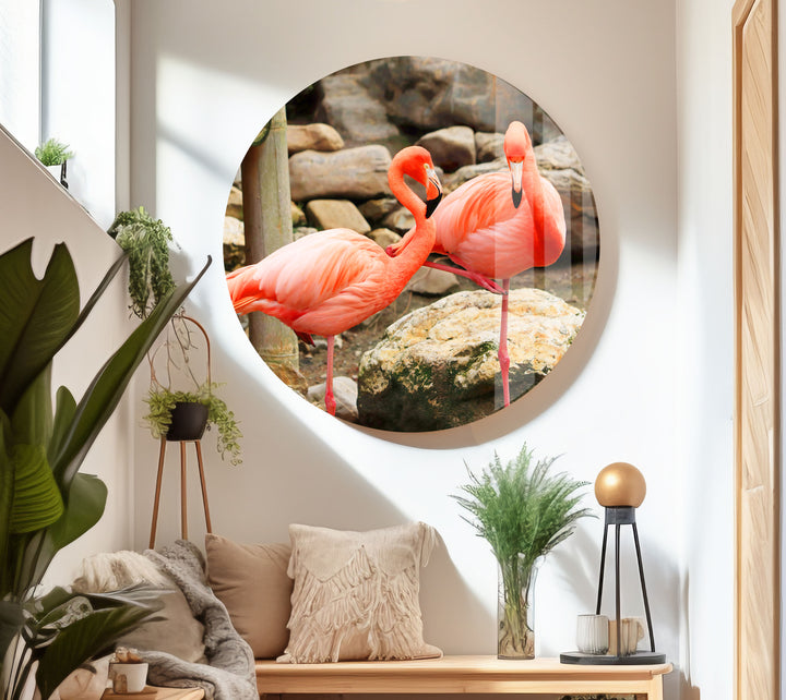 American Flamingo Glass Wall Art print picture on glass, Tempered Glass Wall Art