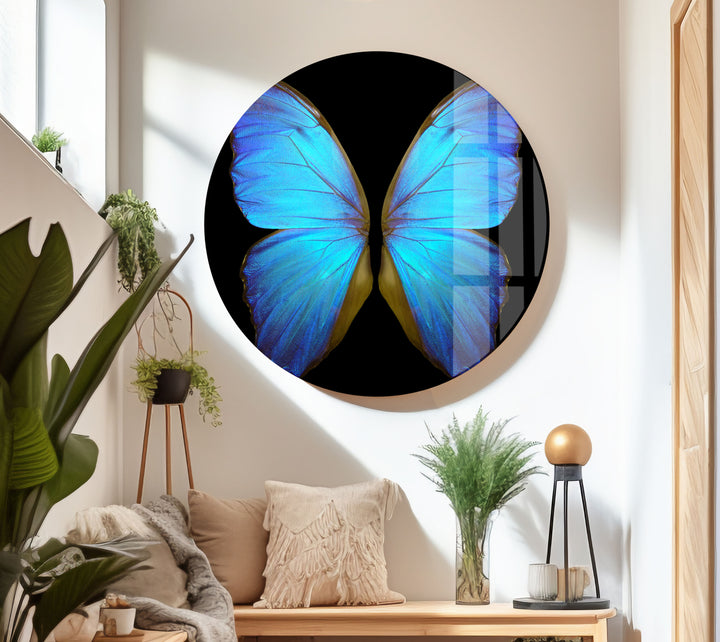 Blue Butterfly Glass Wall Art custom glass photo prints, large glass prints