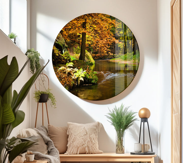 River in The Forest Glass Wall Art large glass photo prints, glass wall photoslarge glass photo prints, glass wall photos