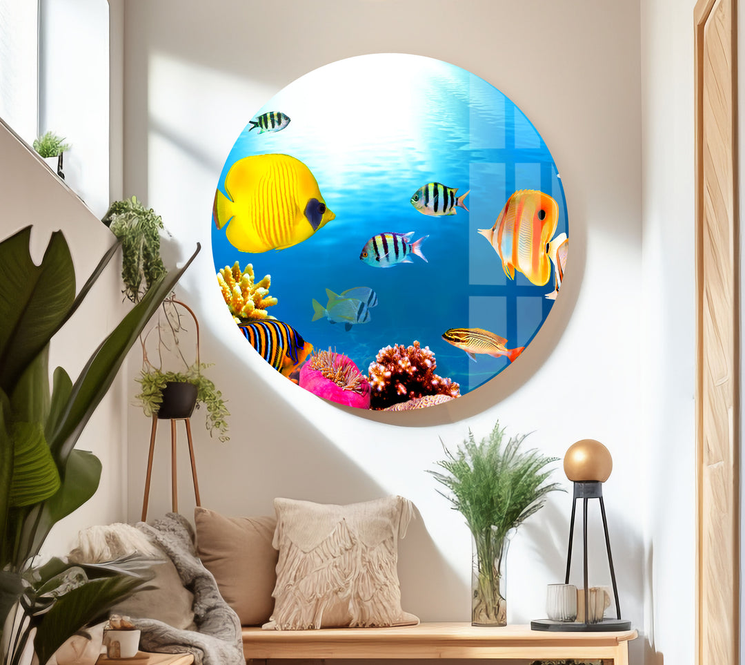 Tropical Fishes Glass Wall Art print on glass, glass printed photos