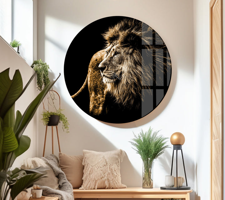 Old Wild Lion Glass Wall Art custom glass photo prints, large glass prints