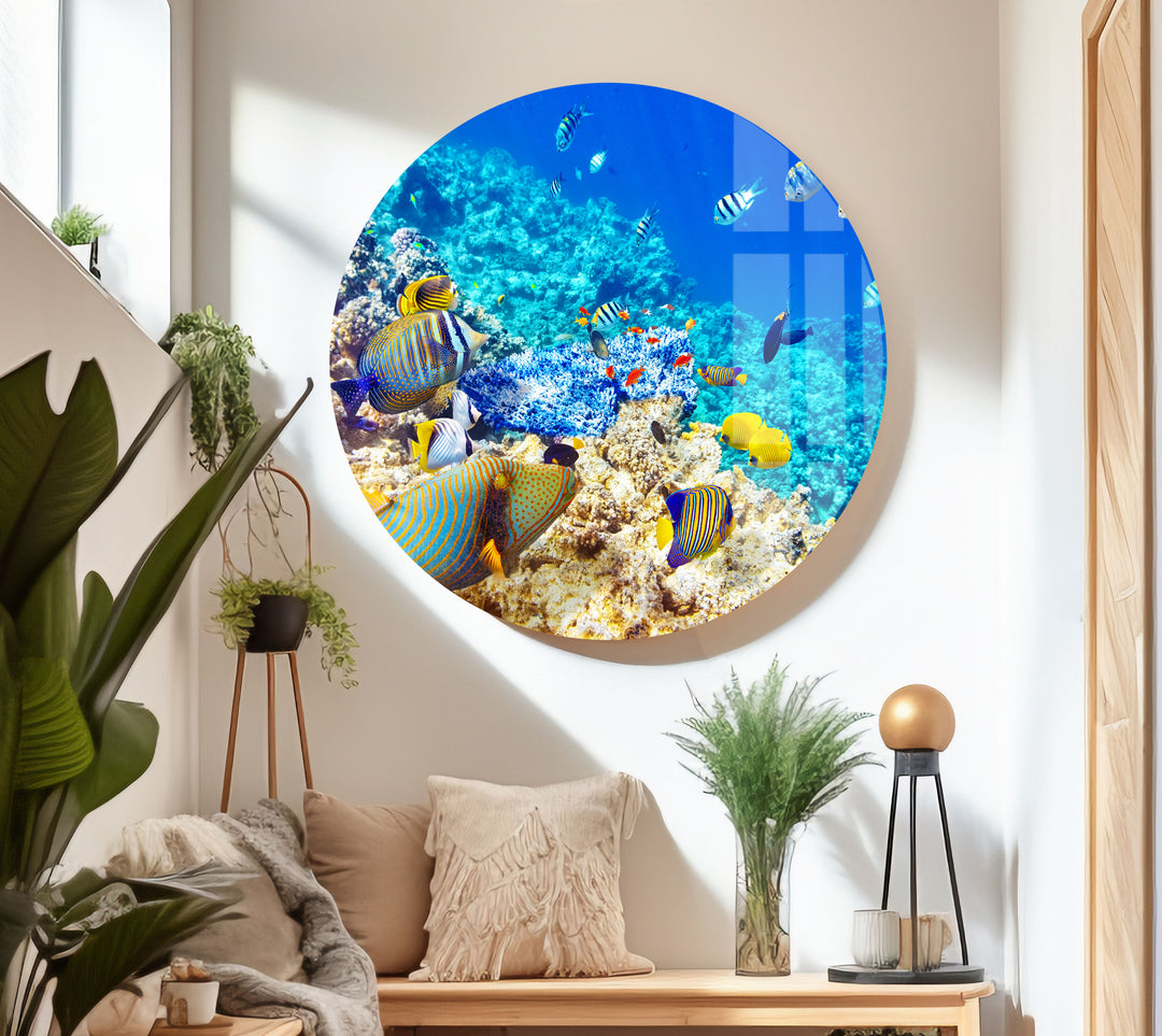 Tropical Ocean Fishes Glass Wall Art art glass wall art, glass wall art pictures