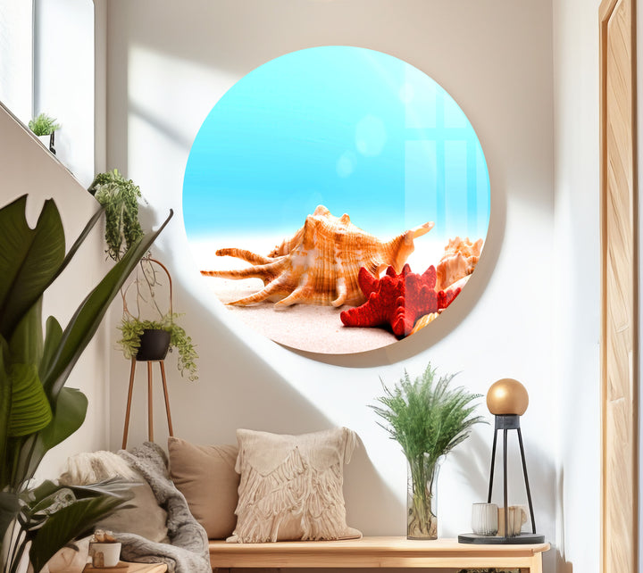 Seashells & Starfish Glass Wall Art custom glass pictures, glass art prints