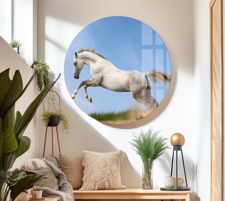 Running White Horse Glass Wall Art print on glass, glass printed photos