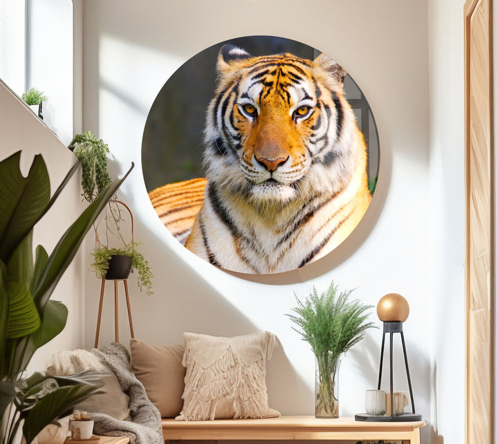 Wildlife Tiger Glass Wall Art art glass wall art, glass wall art pictures