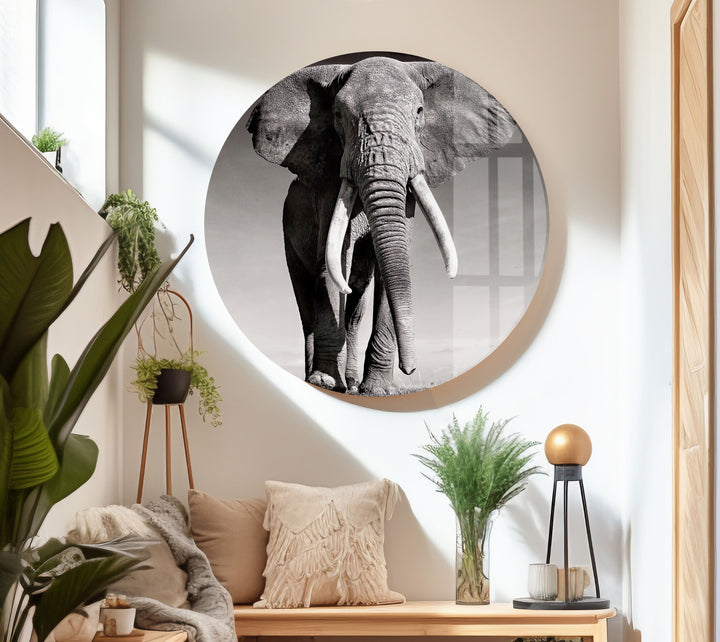 Black White Elephant Glass Wall Art glass pictures for Wall, glass prints wall art