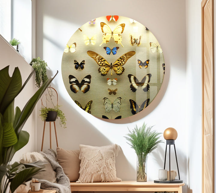 Butterfly Collection Glass Wall Art Glass Printing Wall Art, Print photos on glass