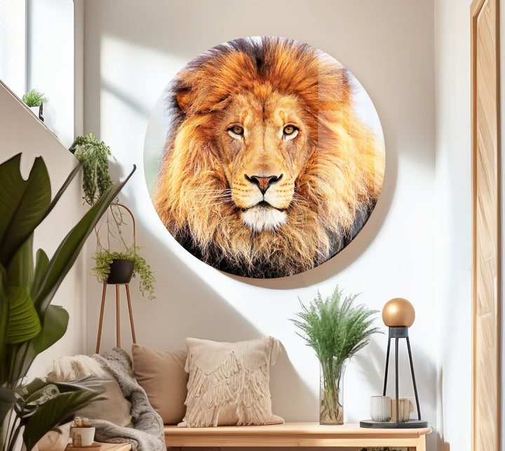 Lion King View Glass Wall Art glass image printing, glass prints from photos