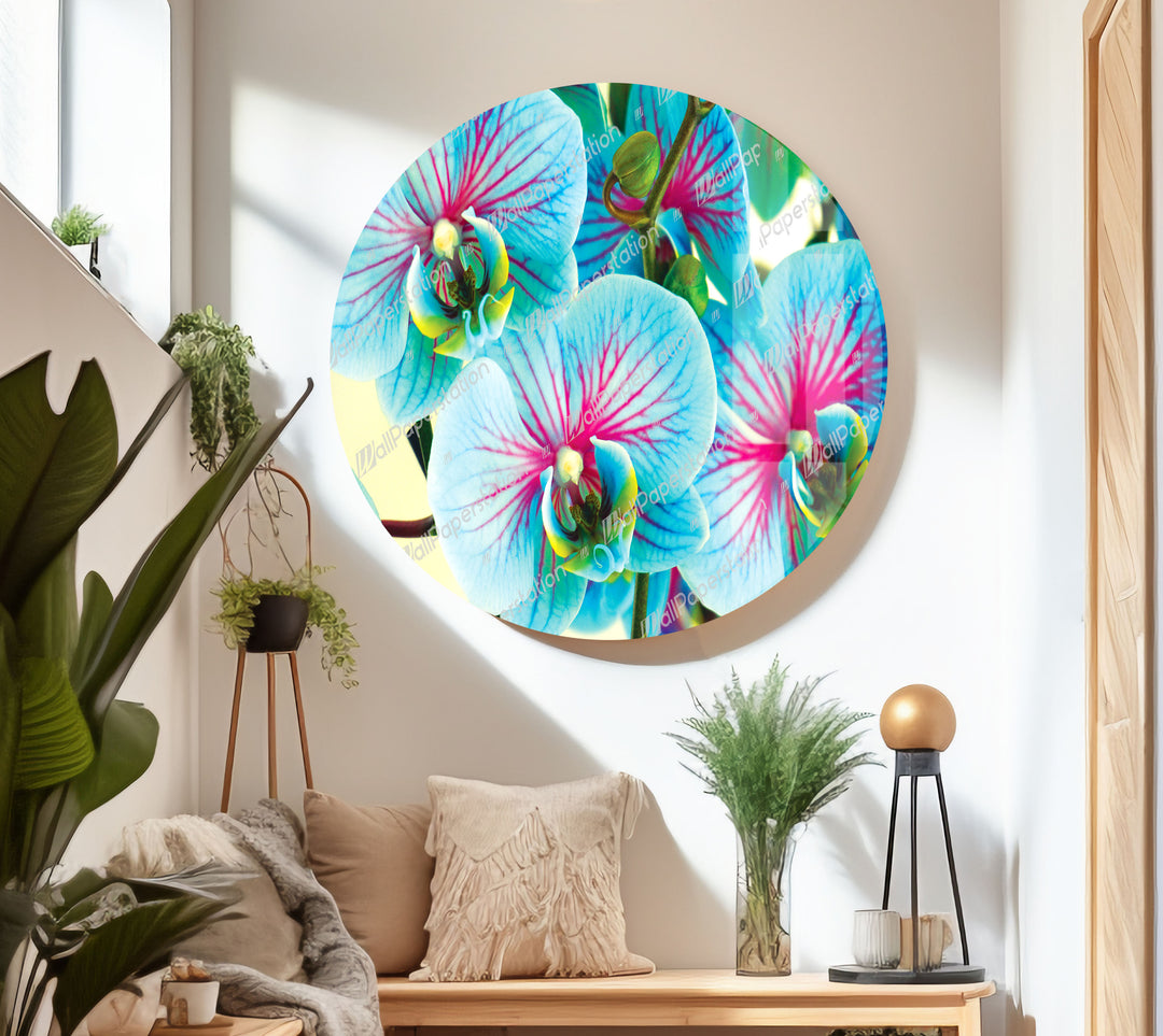 Blue & Pink Orchids Flowers Glass Wall Art, glass photo prints, glass picture prints