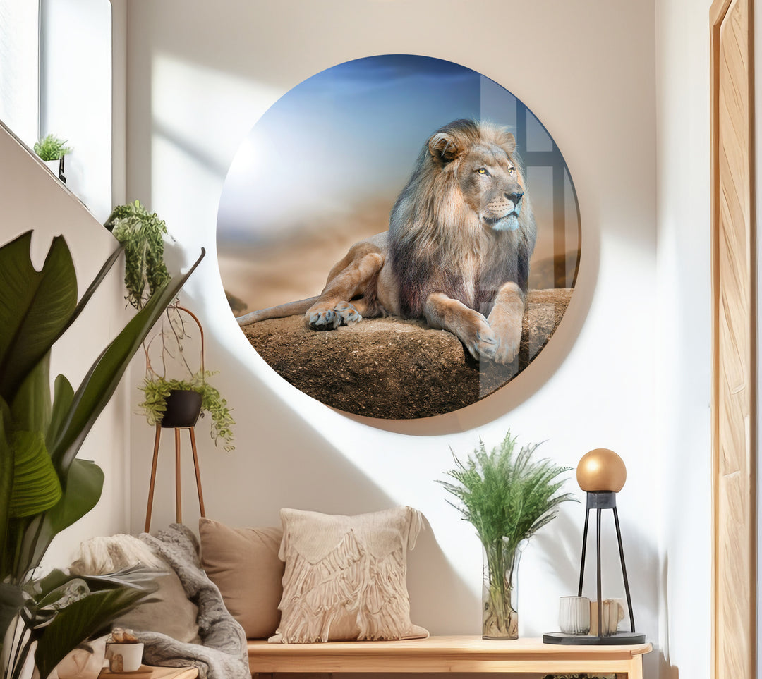 King Lion Laying Glass Wall Art print picture on glass, Tempered Glass Wall Art