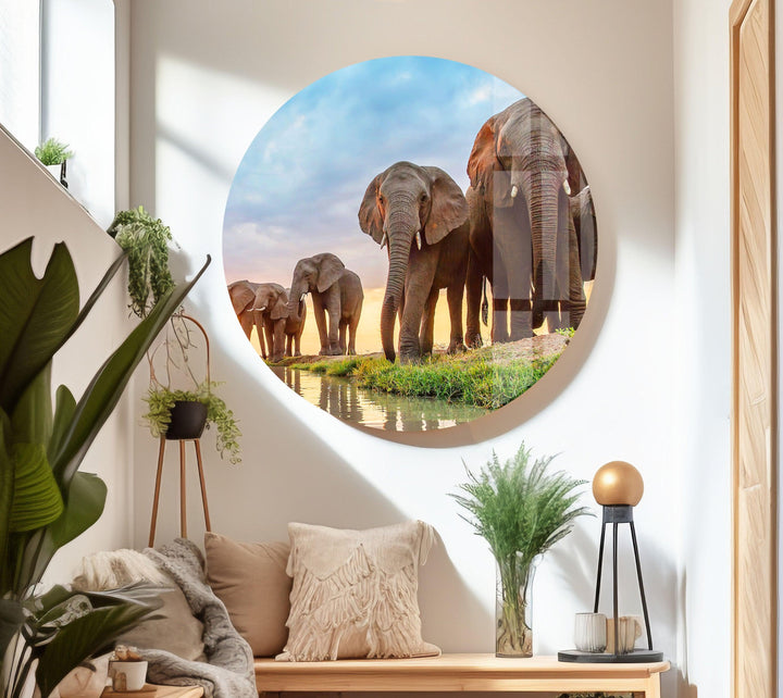 Safari Elephant Group Glass Wall Art print on glass, glass printed photos