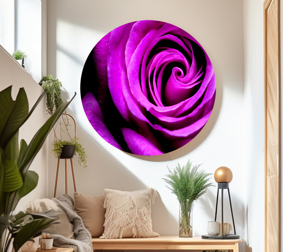 Big Purple Rose Glass Wall Art, large glass photo prints, glass wall photos
