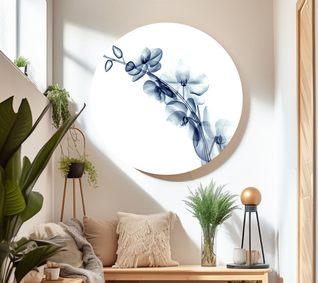 X-ray Blue Orchide Glass Wall Art, large glass photo prints, glass wall photos