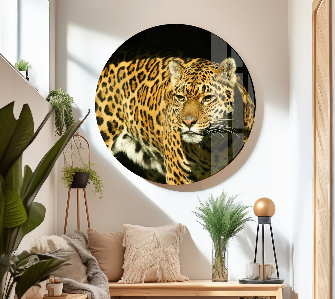 Amur Leopard Glass Wall Art Glass Printing Wall Art, Print photos on glass