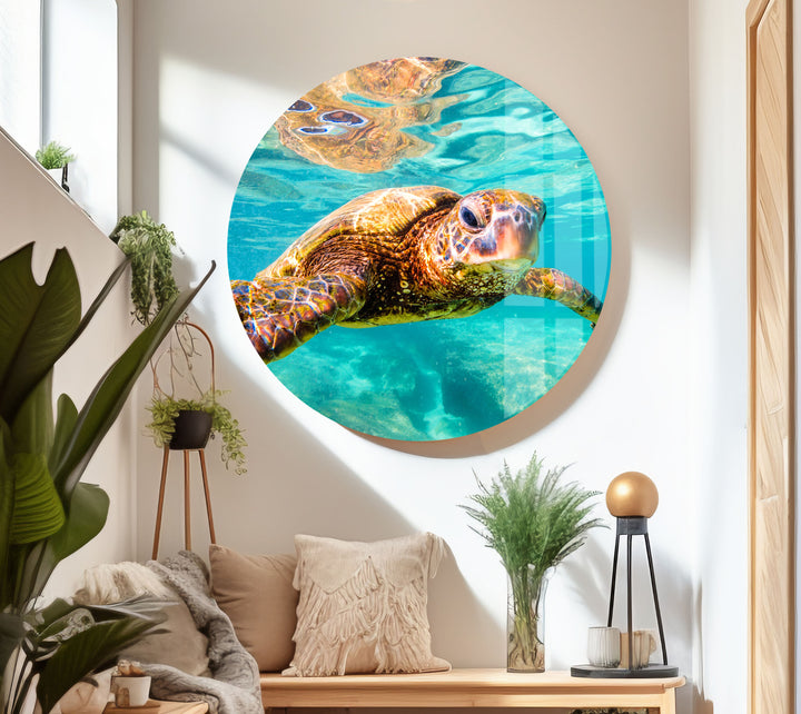 Sea Turtle Swimming Glass Wall Art picture on glass wall art, photos printed on glass