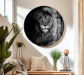Lion Tempered Glass Wall Art