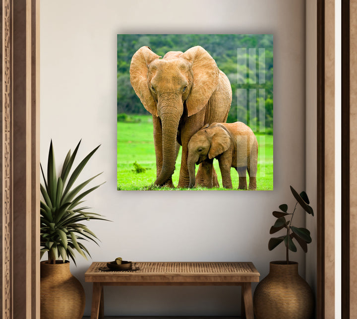 Elephants in Nature Glass Wall Art photo print on glass, prints on glass wall art