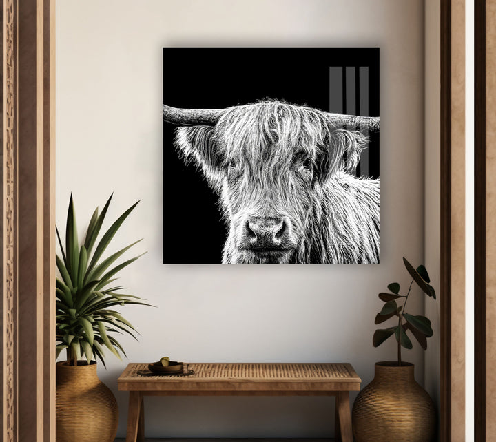 Highland Scottish Cow Glass Wall Art Glass Printing Wall Art, Print photos on glass