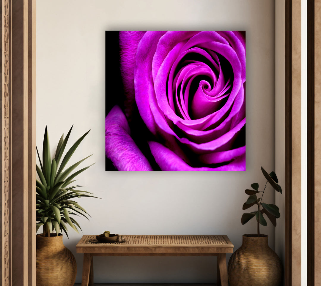 Big Purple Rose Glass Wall Art, photo print on glass, prints on glass wall art
