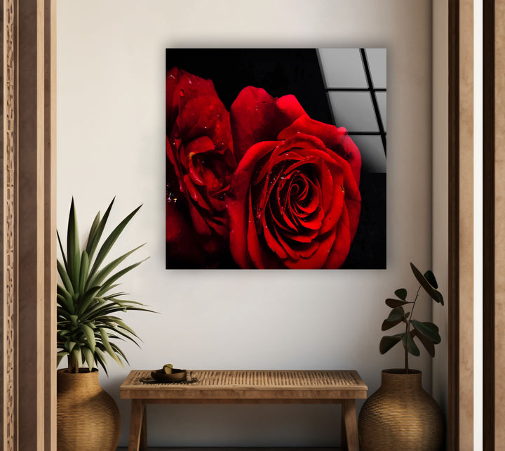 Red Rose Flower On Black Glass Wall Art, Glass Printing Wall Art, Print photos on glass
