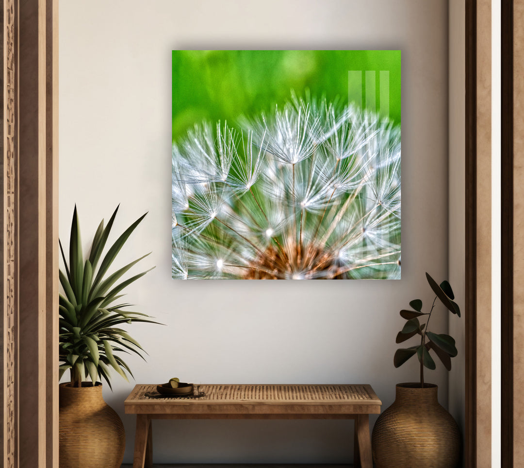 White Dandelion Seed Glass Wall Art, art glass wall art, glass wall art pictures