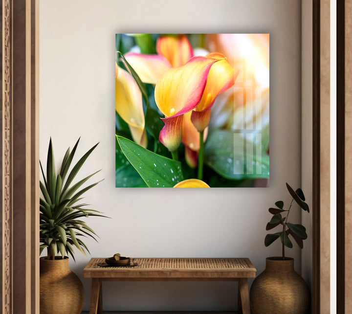 Colorful Calla Lilies Glass Wall Art, art glass wall art, glass wall art pictures