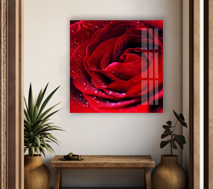 Red Rose With Water Drops Glass Wall Art, art glass wall art, glass wall art pictures