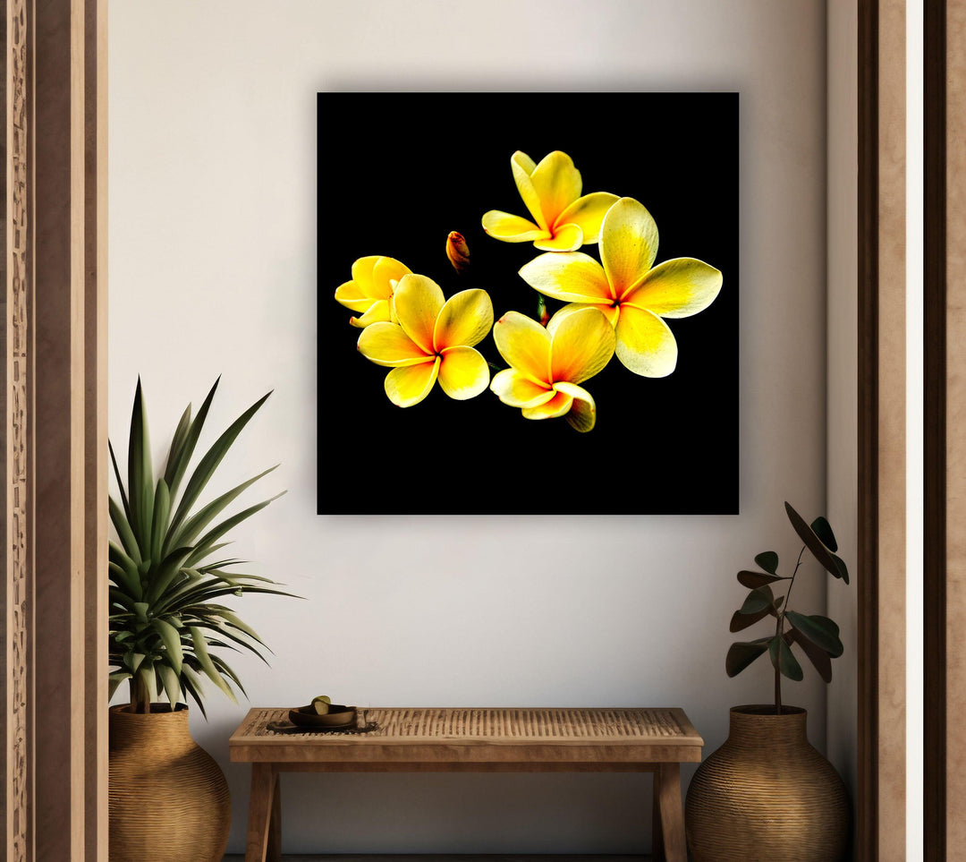 Yellow Plumeria Glass Wall Art, glass pictures for Wall, glass prints wall art