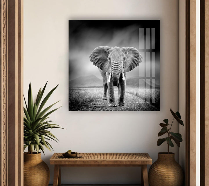 Large Elephant Glass Wall Art photo print on glass, prints on glass wall art