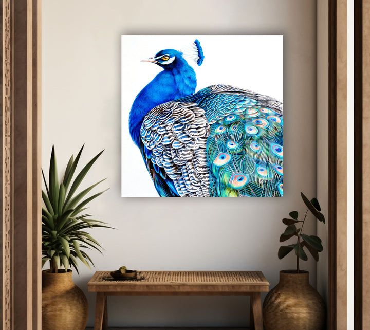 Peacock Portrait Glass Wall Art             glass wall decor, glass wall art decor