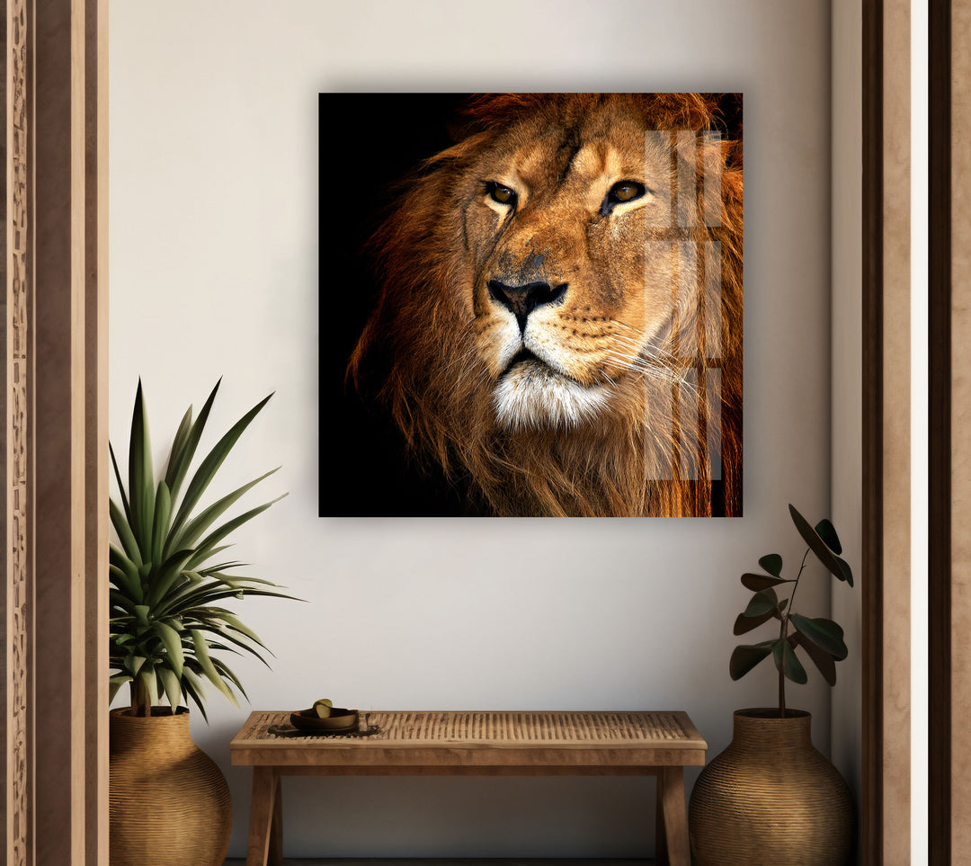 Asiatic Lion Glass Wall Art glass art painting, glass art for the Wall