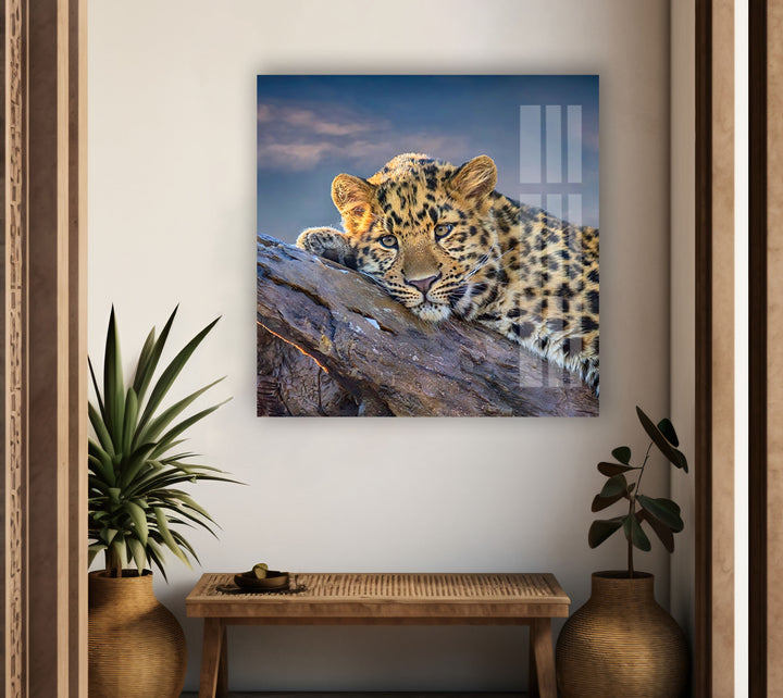 Majestic Amur Leopard Glass Wall Art print on glass, glass printed photos