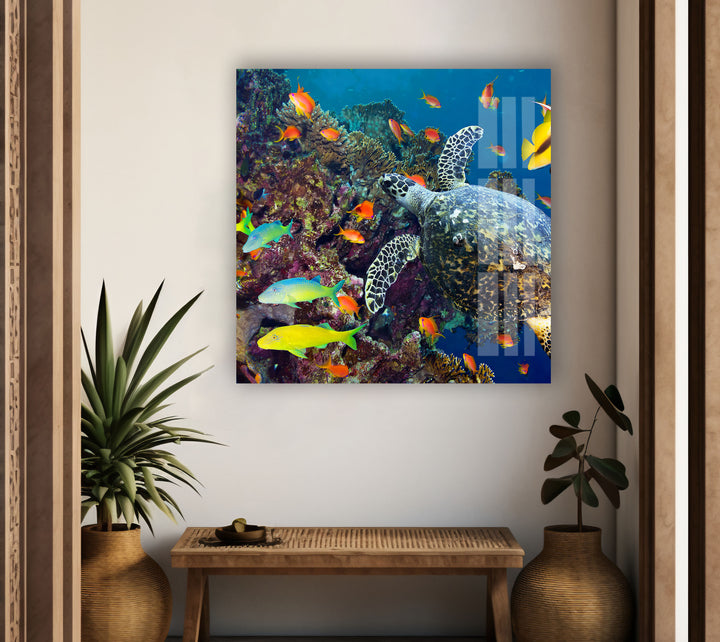 Undersea Fishes Glass Wall Art photo print on glass, prints on glass wall art