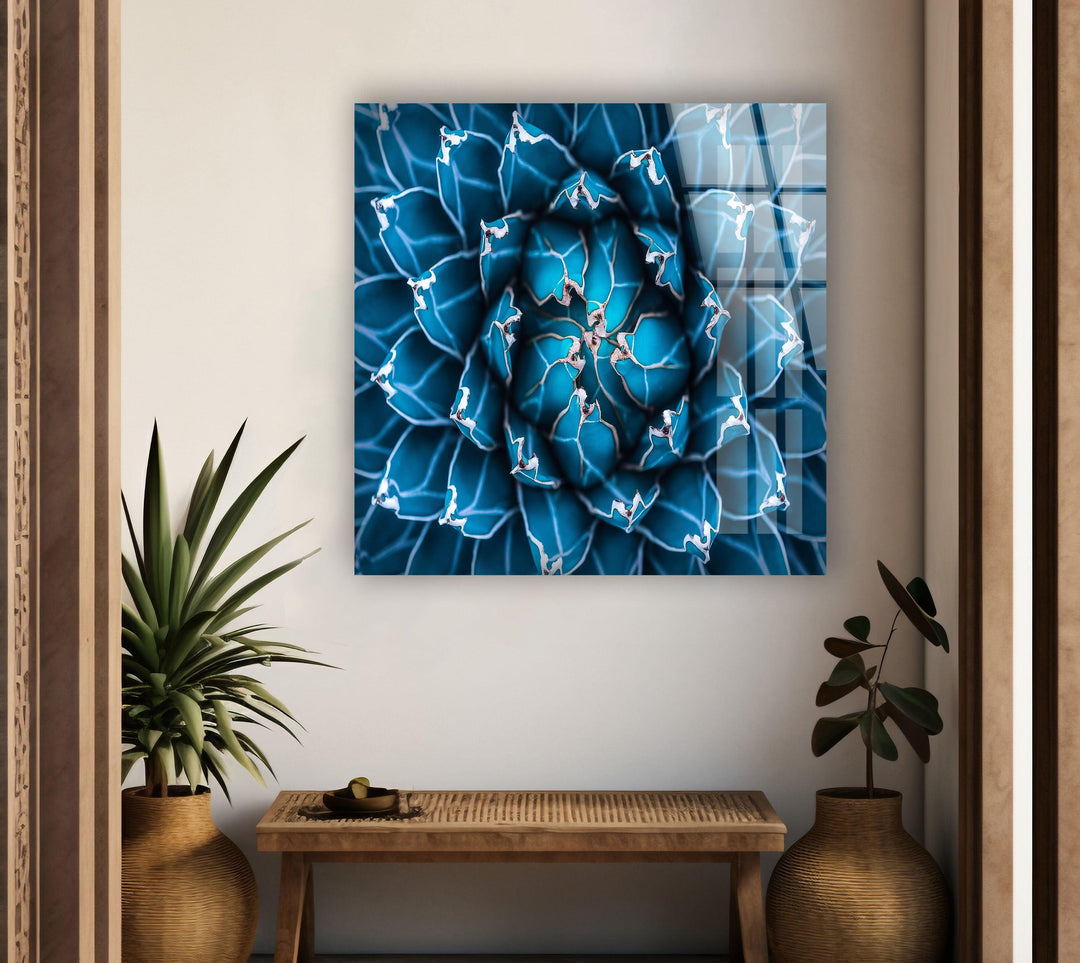 Blue Cactus Flower Tempered Glass Wall Art - MyPhotoStation