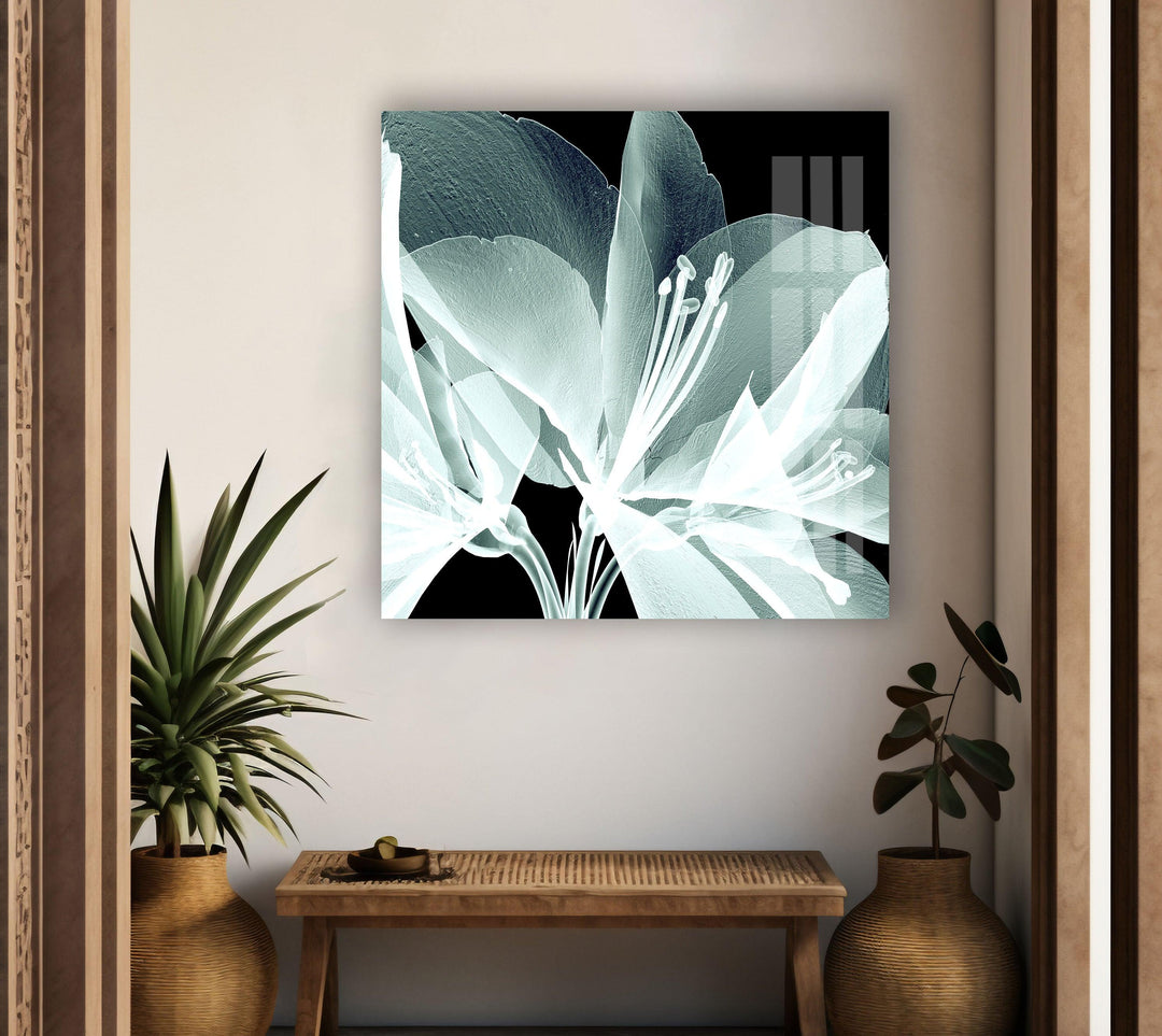 X-Ray Close Up Amaryllis Glass Wall Art, glass pictures for Wall, glass prints wall art