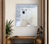 Animal Polar Bear Tempered Glass Wall Art - MyPhotoStation