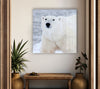 Polar Bear Glass Wall Art custom glass photo prints, large glass prints