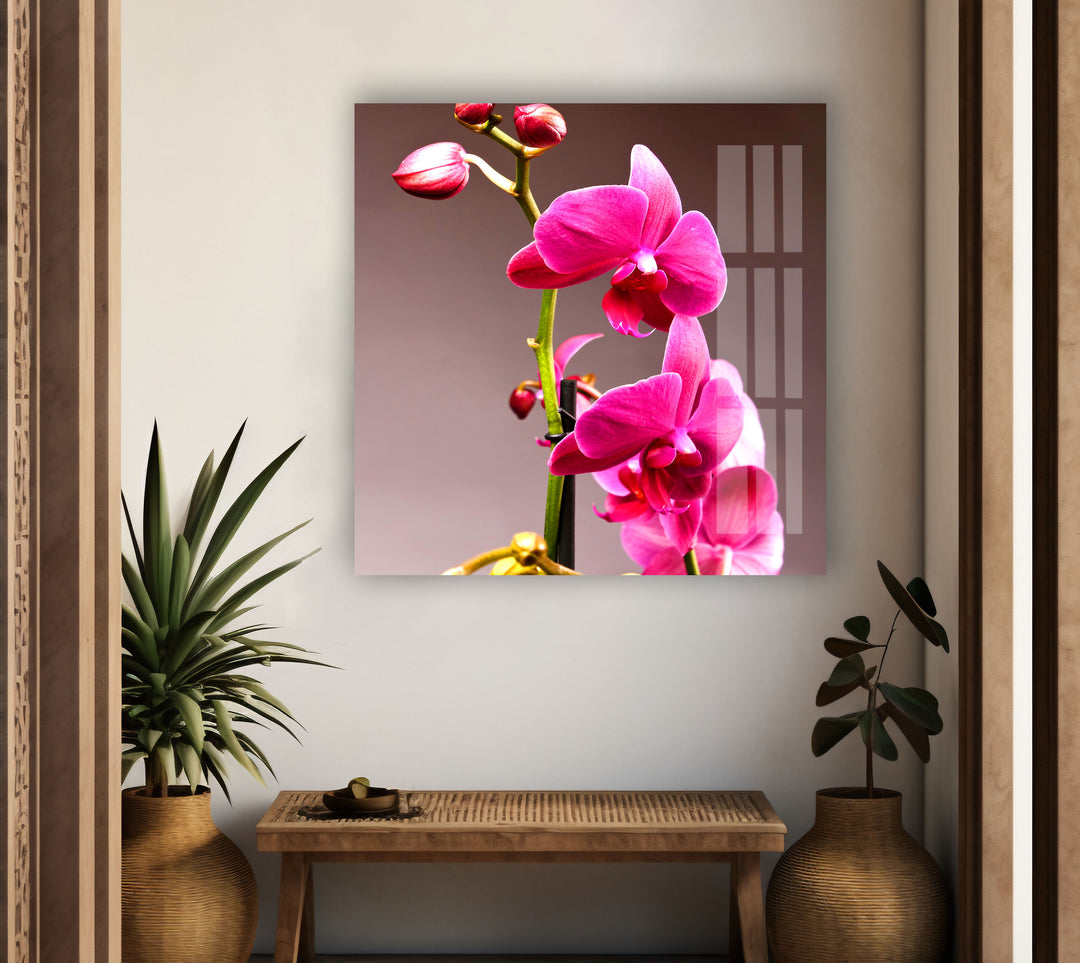 Pink Orchid Glass Wall Art, photo print on glass, prints on glass wall art