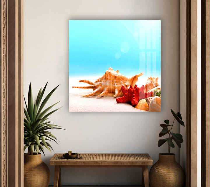 Seashells & Starfish Glass Wall Art glass pictures for Wall, glass prints wall art