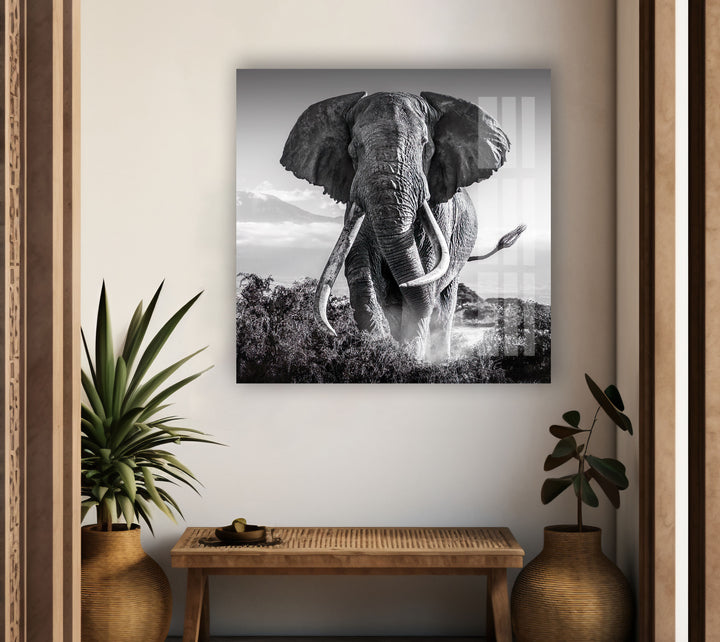 Old Elephant Running Glass Wall Art custom glass pictures, glass art prints